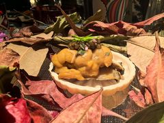 落叶鲍鱼最中饼-地球美食剧场