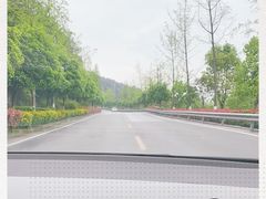 -铁山坪森林公园