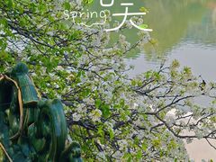 -中山公园