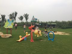 -明珠湖天鹅苑·农家菜馆