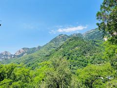 -泰山风景名胜区