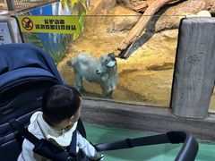 -苏州海洋馆
