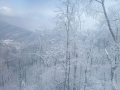 -中旅松花湖滑雪场