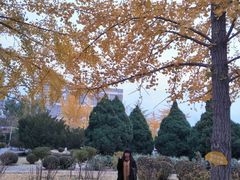 -辽宁大学(崇山校区)
