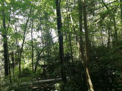 -窦圌山风景区