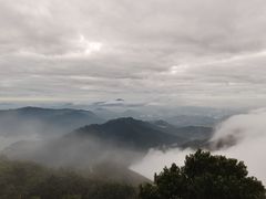 -梧桐山风景名胜区