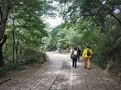 -紫金山山顶公园