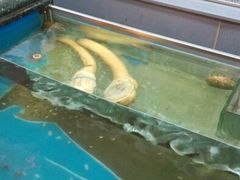 展台-万宝海鲜舫(劳动公园店)