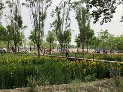 -东郊湿地公园