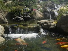 -罗红摄影艺术馆