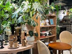 -自由生长植物工作室(深港花卉中心店)