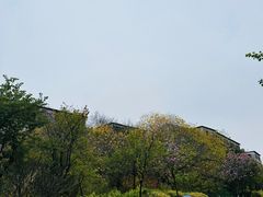 -广东花都湖国家湿地公园