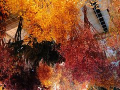 -花十悦·鲜花咖啡餐厅(振业城一期店)