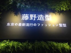 点击看大图 -藤野造型