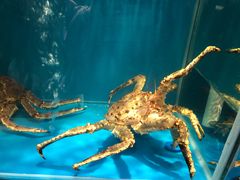 -蟹田居·活蟹料理(东城店)