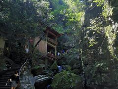 -藏龙百瀑风景区