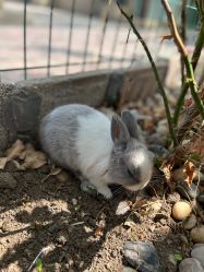 -黎蓓露·徒手骨雕蛋白抗衰·调肤管理