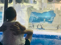 -华夏文旅海洋公园