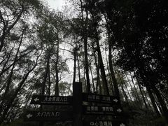 -南山植物园