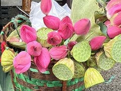 -小崔家臊子面(高新店)