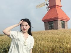 -杭州湾海上花田景区