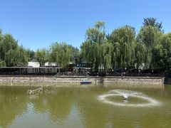 -尚庄度假村·庭台树下·户外烧烤·团建CS·轰趴营地(上庄水库店)