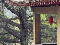 -龙门石窟-香山寺