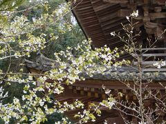 -醍醐寺