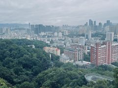 -福道