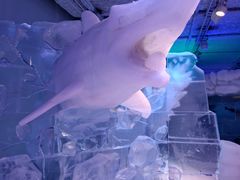-世界之窗阿尔卑斯冰雪世界