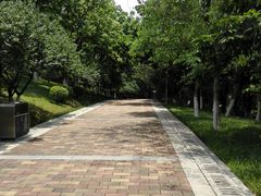 -玉树公园