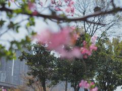 -蠡湖大桥公园
