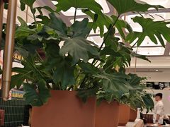 -新旺茶餐厅(鑫耀·光环live店)