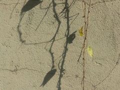 -象山森林公园