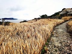 -东极岛景区