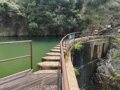 -大奇山国家森林公园