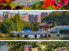 -东莞银行篮球中心