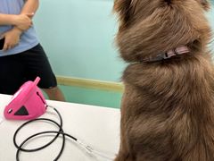 -北京观赏动物医院·24小时大型综合·猫专科·异宠专科