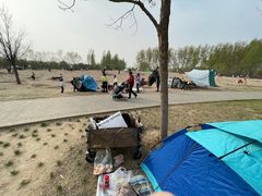 -东郊湿地公园