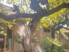 -Chom Cafe and Restaurant