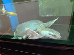 -长赢养生(平度店)