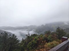 -东白山