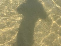 -那香海钻石沙滩浴场