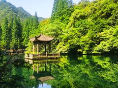 -天明山温泉大酒店