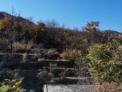 -水峪民俗村