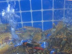 -为民烧烤吧.自贡爆炒菜(收录10年好店)