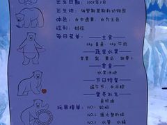 -芜湖新华联大白鲸海洋公园