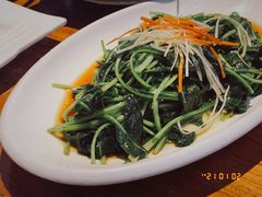 炒板蓝根-新竹里馆·花园餐厅(兴苑路店)