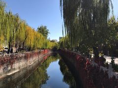 -清华大学-清芬园