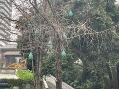 -成都市活水公园